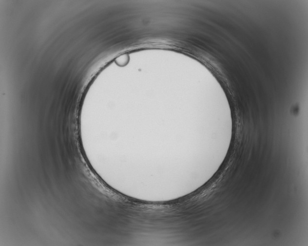 X0000115721192200912101421