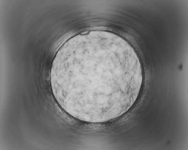 X0000115721193200912101421