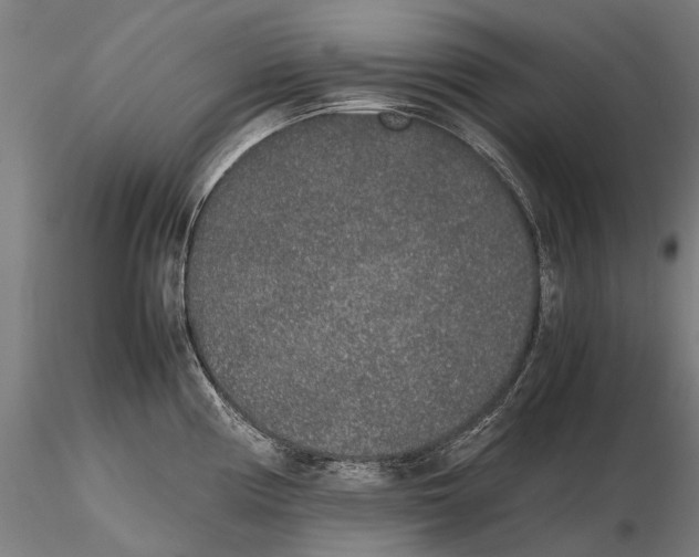 X0000115721194200912101421