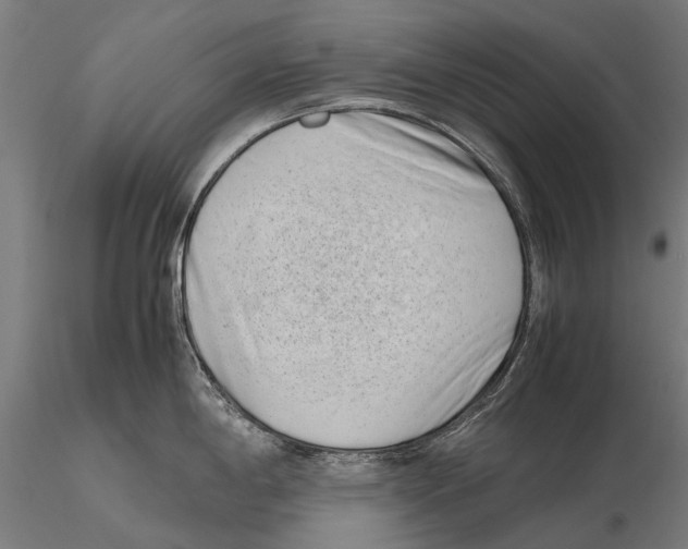 X0000115721198200912101421
