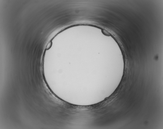 X0000115721199200912101421