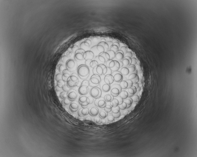 X0000115721205200912101420