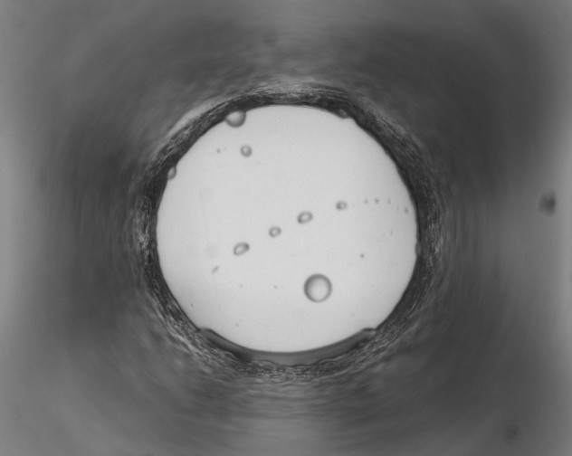 X0000115721206200912101420