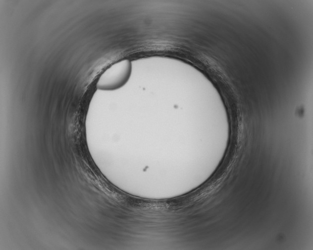 X0000115721210200912101420