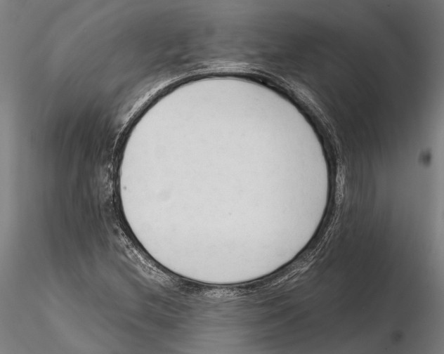 X0000115721212200912101420