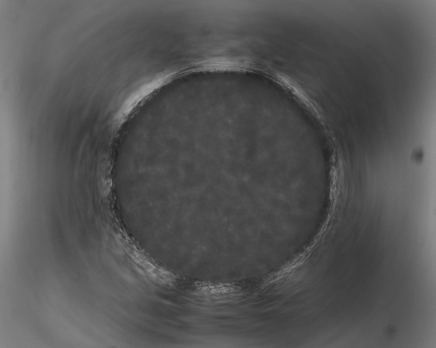 X0000115721213200912101420