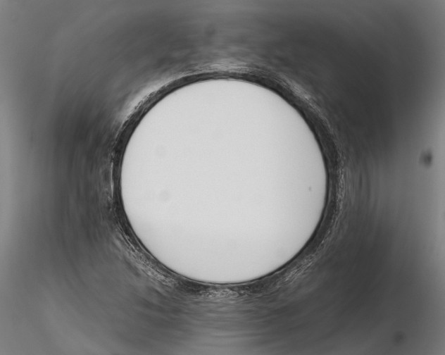 X0000115721214200912101420
