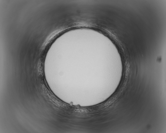 X0000115721215200912101420