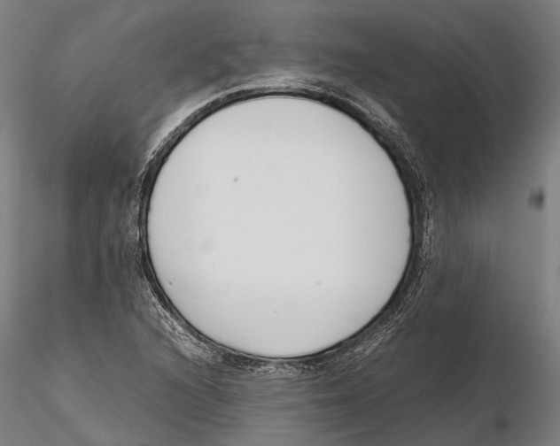 X0000115721216200912101420