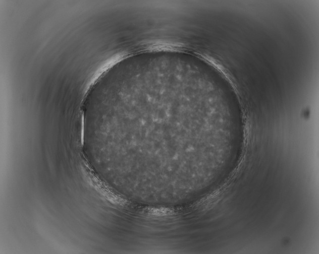 X0000115721219200912101420
