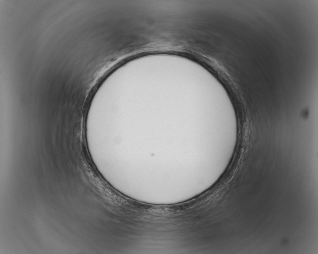 X0000115721220200912101420