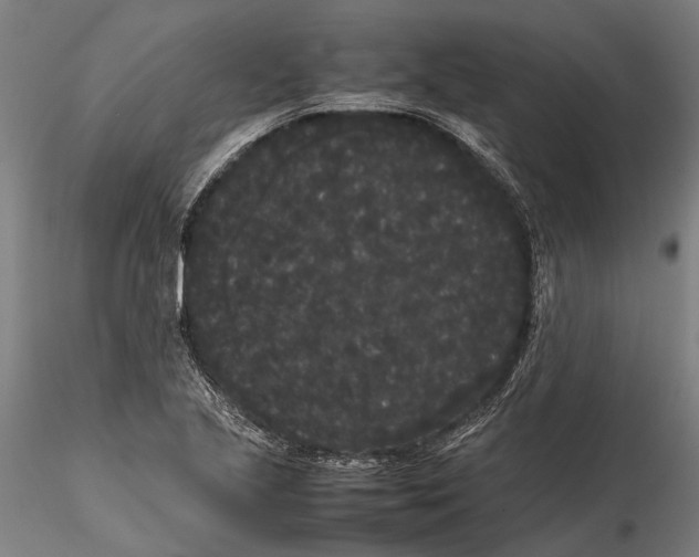 X0000115721221200912101420