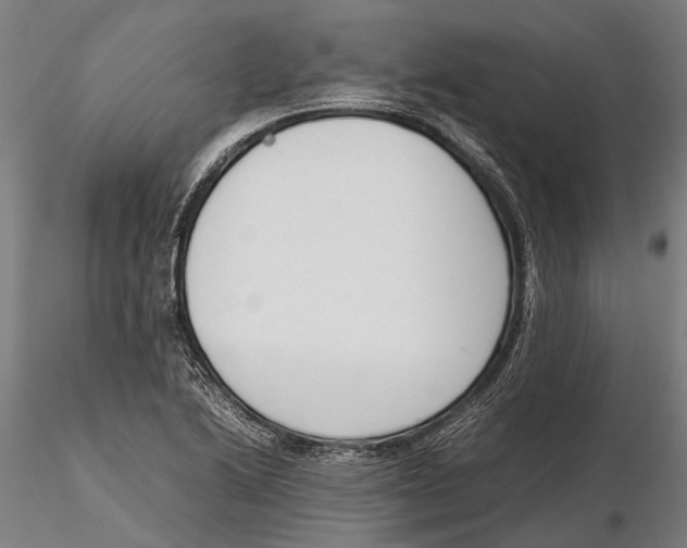 X0000115721222200912101420