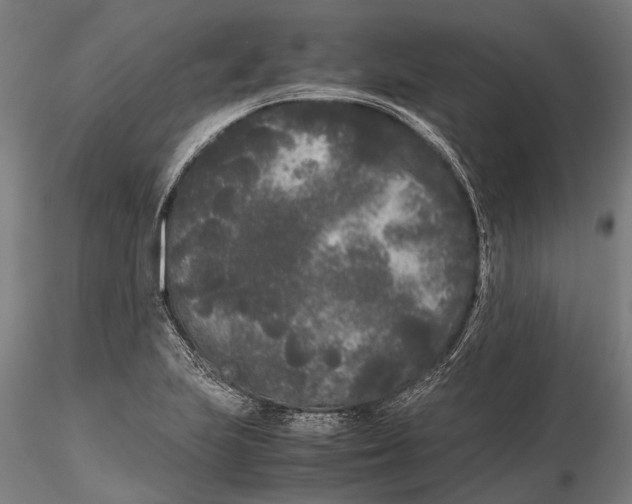 X0000115721223200912101420