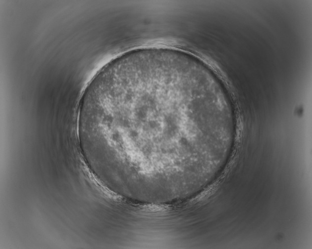 X0000115721224200912101420