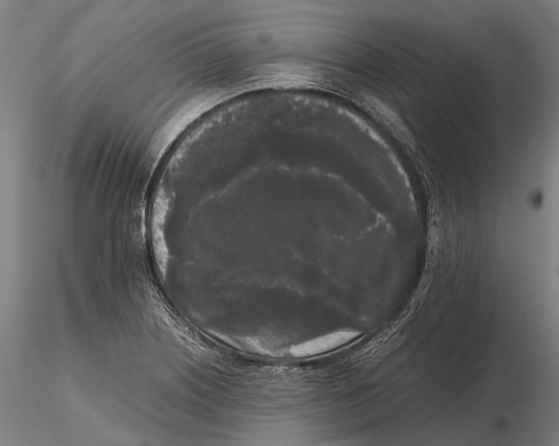 X0000115721226200912101421