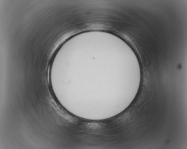 X0000115721227200912101421