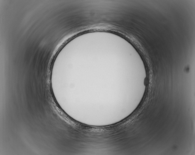 X0000115721232200912101421