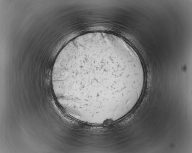 X0000115721233200912101421