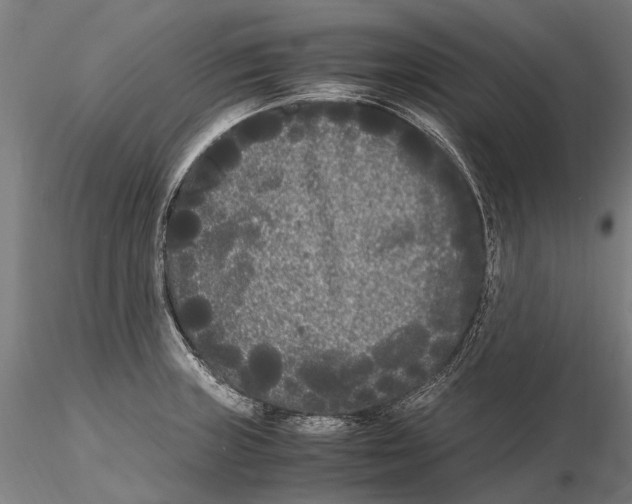 X0000115721235200912101421