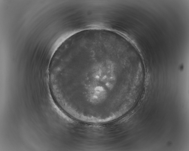 X0000115721239200912101421