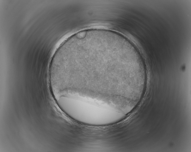X0000115721240200912101421