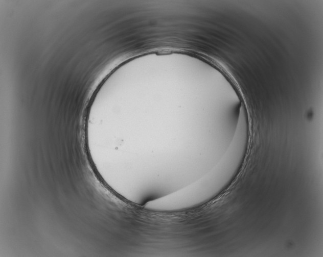 X0000115721243200912101421