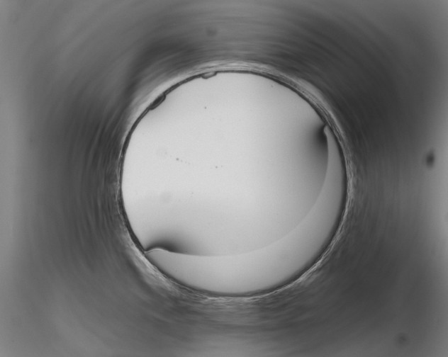 X0000115721244200912101421