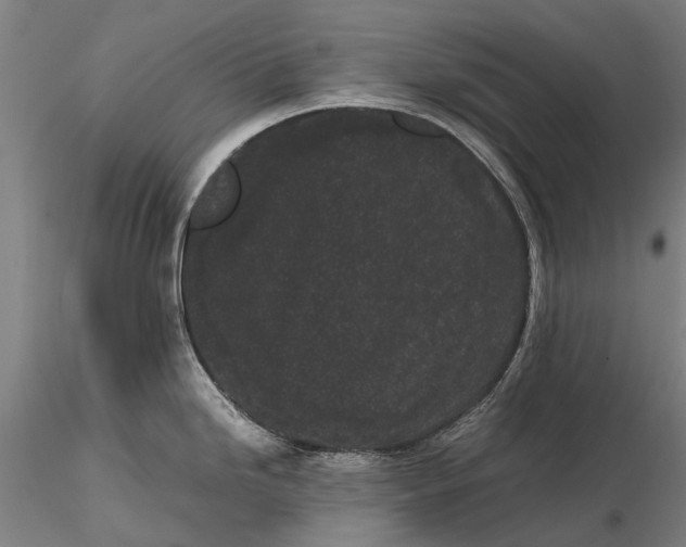 X0000115721246200912101421