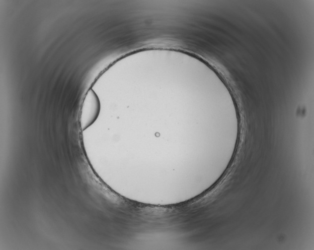 X0000115721248200912101421