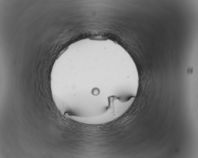 X0000115721249200912101420