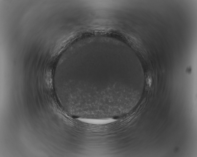 X0000115721252200912101420