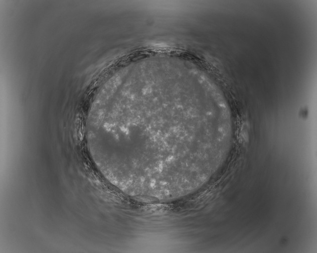 X0000115721253200912101420