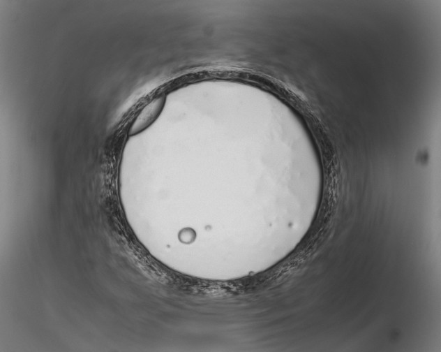 X0000115721255200912101420