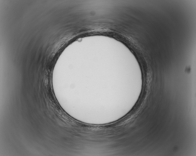 X0000115721257200912101420