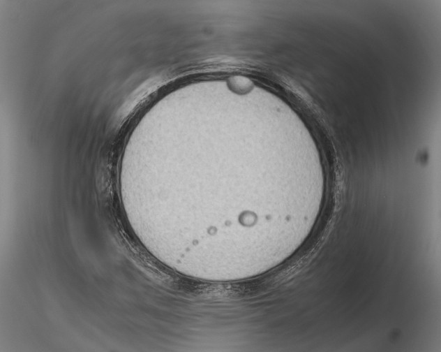 X0000115721259200912101420