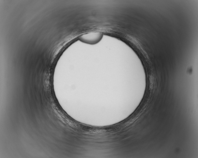 X0000115721260200912101420