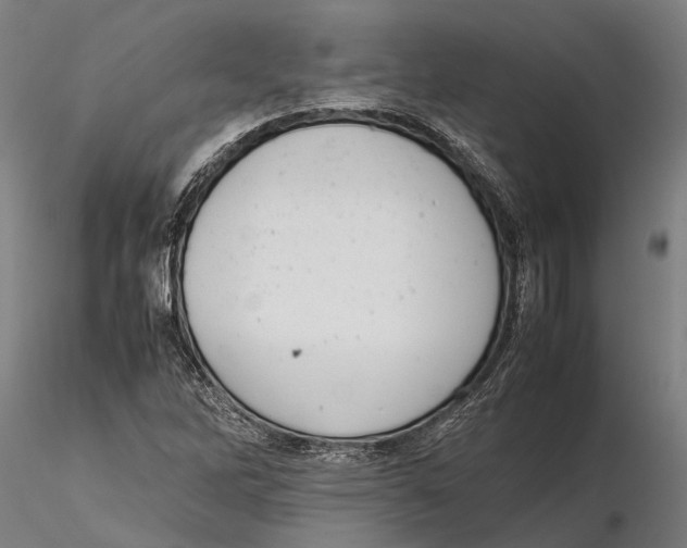 X0000115721262200912101420