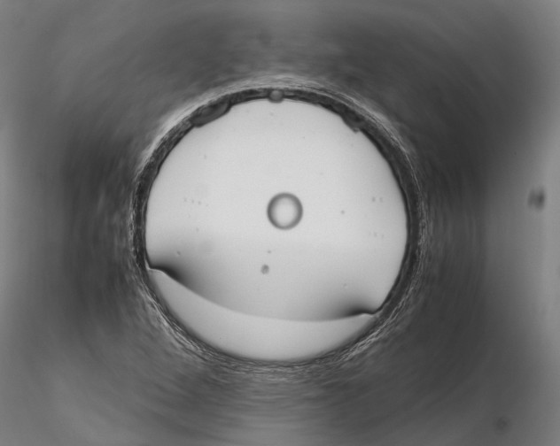 X0000115721264200912101420