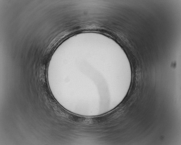 X0000115721265200912101420