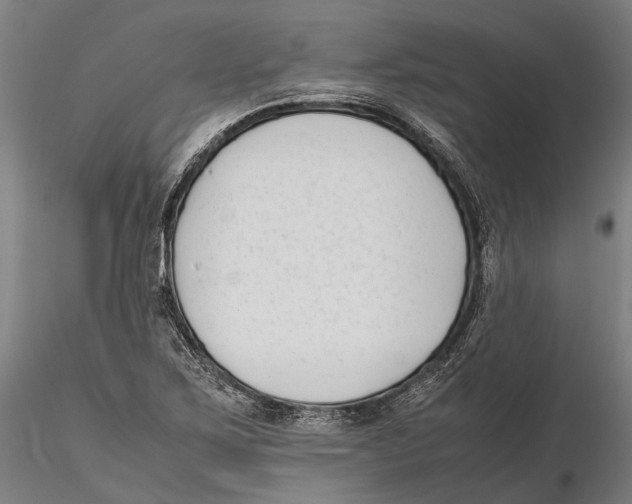 X0000115721267200912101420