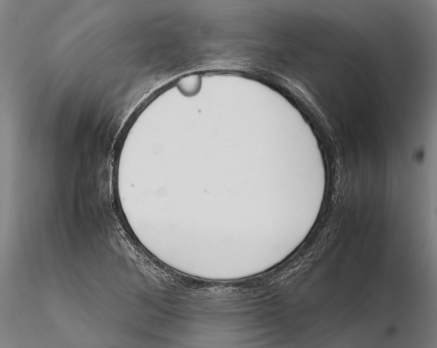 X0000115721268200912101420