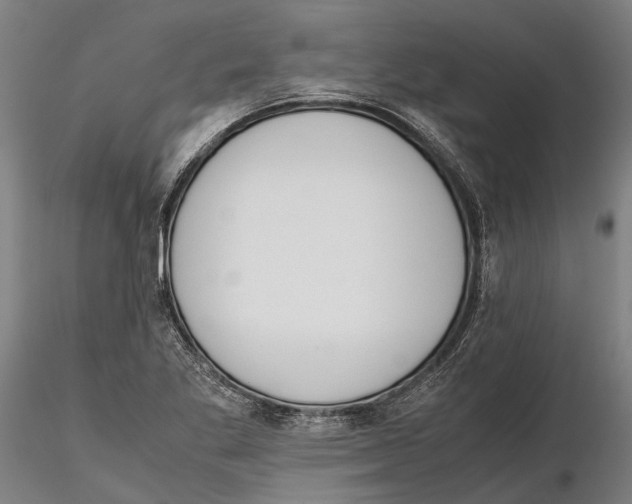 X0000115721269200912101420