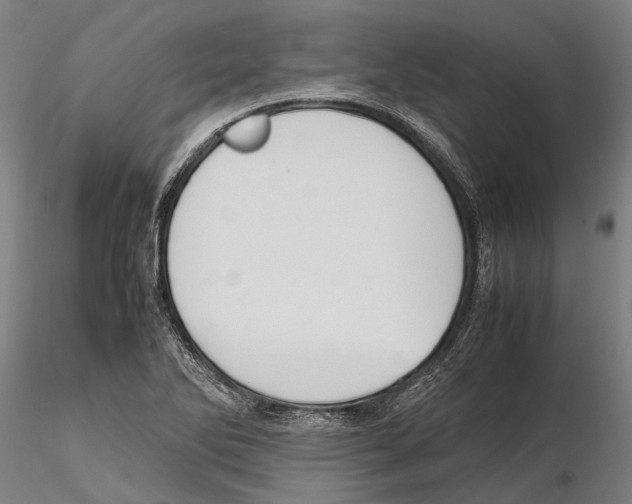 X0000115721270200912101420