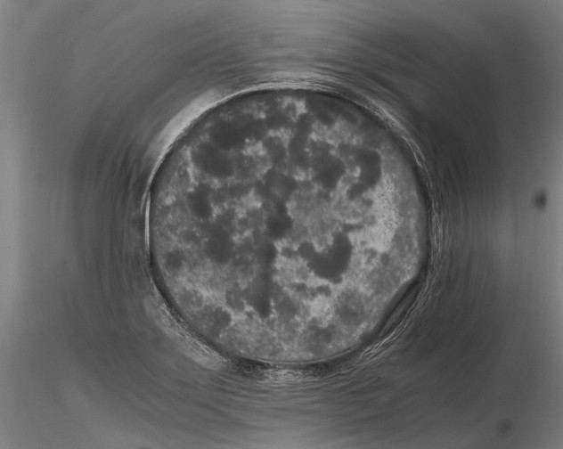 X0000115721275200912101420