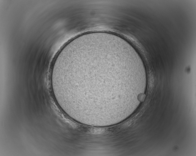 X0000115721278200912101420