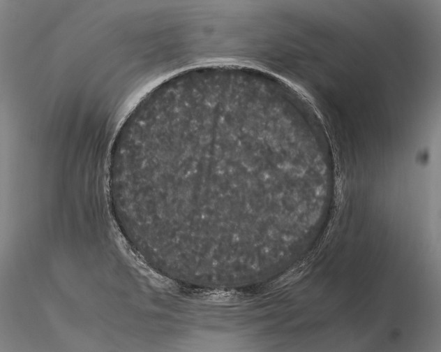 X0000115721279200912101420