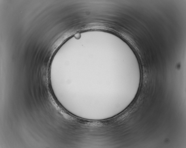 X0000115721282200912101420