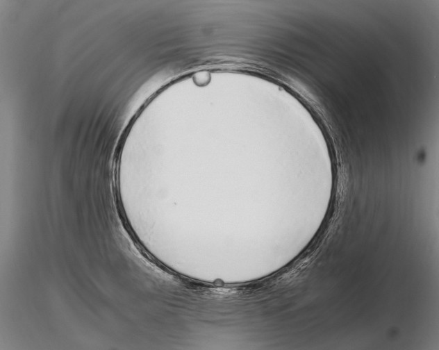 X0000115721283200912101420
