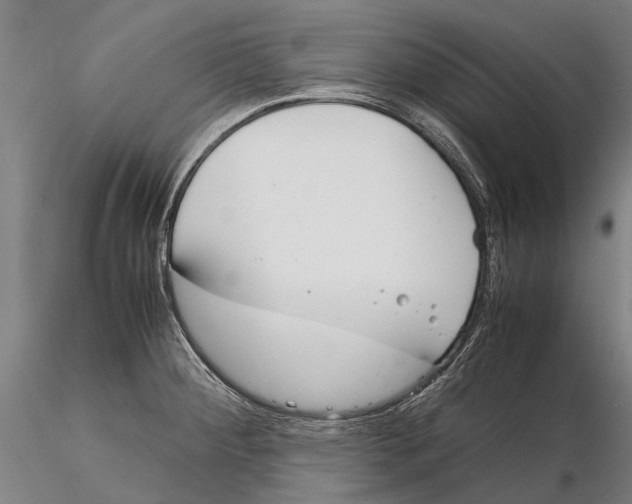 X0000115721284200912101420